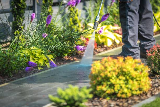 Best Building Exterior Pressure Washing in Kenwood, OH